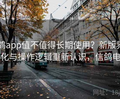 电鸽app值不值得长期使用？新版界面变化与操作逻辑重新认识，信鸽电子