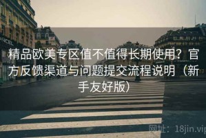 精品欧美专区值不值得长期使用？官方反馈渠道与问题提交流程说明（新手友好版）