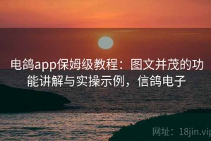 电鸽app保姆级教程：图文并茂的功能讲解与实操示例，信鸽电子