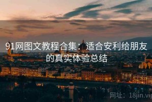 91网图文教程合集：适合安利给朋友的真实体验总结