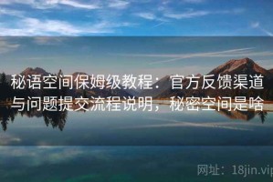 秘语空间保姆级教程：官方反馈渠道与问题提交流程说明，秘密空间是啥
