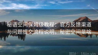 秘语空间保姆级教程：官方反馈渠道与问题提交流程说明，秘密空间是啥