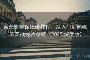 番茄影视保姆级教程：从入门到熟练的实战经验总结（2025 深度版）