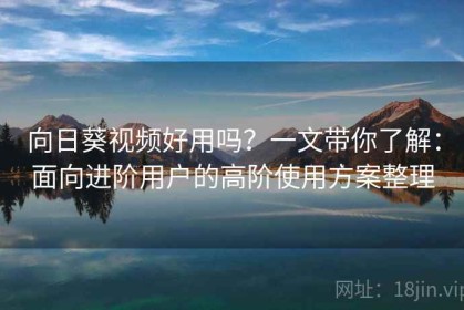 向日葵视频好用吗？一文带你了解：面向进阶用户的高阶使用方案整理
