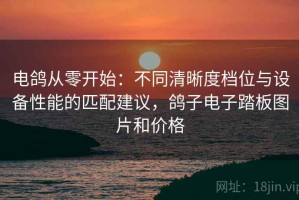 电鸽从零开始：不同清晰度档位与设备性能的匹配建议，鸽子电子踏板图片和价格