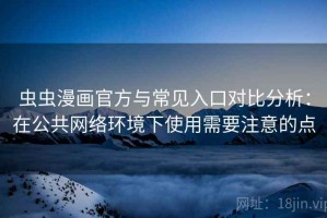 虫虫漫画官方与常见入口对比分析：在公共网络环境下使用需要注意的点