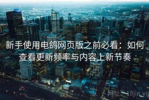 新手使用电鸽网页版之前必看：如何查看更新频率与内容上新节奏