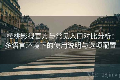 樱桃影视官方与常见入口对比分析：多语言环境下的使用说明与选项配置