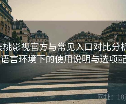樱桃影视官方与常见入口对比分析：多语言环境下的使用说明与选项配置