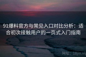 91爆料官方与常见入口对比分析：适合初次接触用户的一页式入门指南