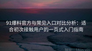 91爆料官方与常见入口对比分析：适合初次接触用户的一页式入门指南