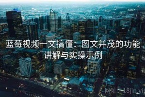 蓝莓视频一文搞懂：图文并茂的功能讲解与实操示例