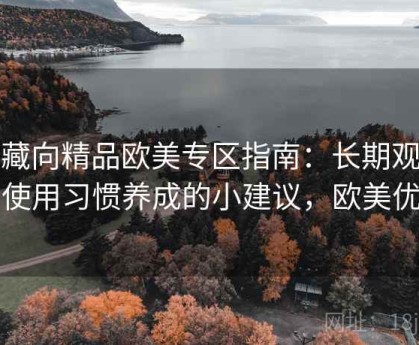 收藏向精品欧美专区指南：长期观感与使用习惯养成的小建议，欧美优品