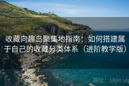 收藏向趣岛聚集地指南：如何搭建属于自己的收藏分类体系（进阶教学版）