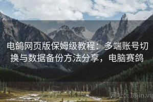 电鸽网页版保姆级教程：多端账号切换与数据备份方法分享，电脑赛鸽