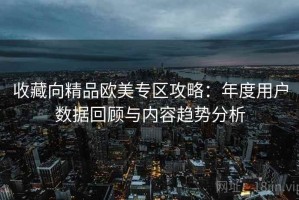 收藏向精品欧美专区攻略：年度用户数据回顾与内容趋势分析
