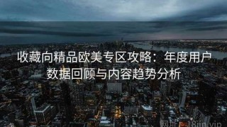 收藏向精品欧美专区攻略：年度用户数据回顾与内容趋势分析