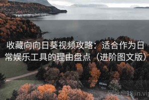 收藏向向日葵视频攻略：适合作为日常娱乐工具的理由盘点（进阶图文版）