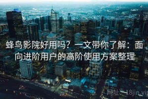 蜂鸟影院好用吗？一文带你了解：面向进阶用户的高阶使用方案整理