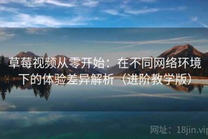 草莓视频从零开始：在不同网络环境下的体验差异解析（进阶教学版）