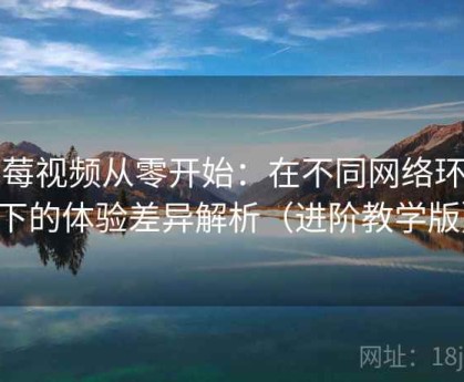 草莓视频从零开始：在不同网络环境下的体验差异解析（进阶教学版）