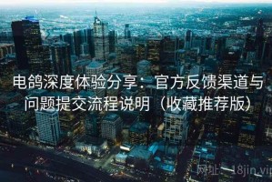 电鸽深度体验分享：官方反馈渠道与问题提交流程说明（收藏推荐版）