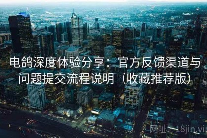 电鸽深度体验分享：官方反馈渠道与问题提交流程说明（收藏推荐版）