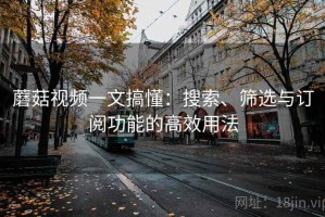 蘑菇视频一文搞懂：搜索、筛选与订阅功能的高效用法