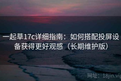 一起草17c详细指南：如何搭配投屏设备获得更好观感（长期维护版）