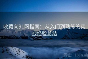 收藏向91网指南：从入门到熟练的实战经验总结