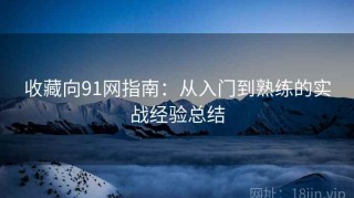 收藏向91网指南：从入门到熟练的实战经验总结