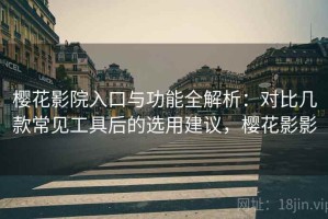 樱花影院入口与功能全解析：对比几款常见工具后的选用建议，樱花影影