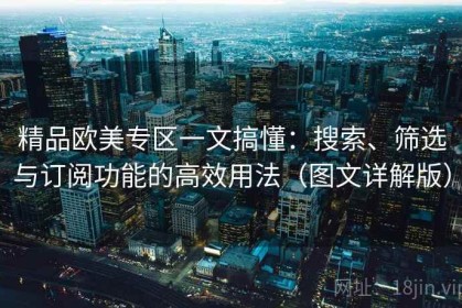精品欧美专区一文搞懂：搜索、筛选与订阅功能的高效用法（图文详解版）