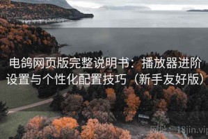 电鸽网页版完整说明书：播放器进阶设置与个性化配置技巧（新手友好版）