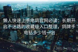 懒人快速上手电鸽官网必读：长期开启不迷路的收藏级入口整理，鸽牌手电钻多少钱一台