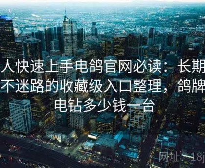 懒人快速上手电鸽官网必读：长期开启不迷路的收藏级入口整理，鸽牌手电钻多少钱一台