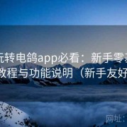 新手玩转电鸽app必看：新手零基础上手教程与功能说明（新手友好版）