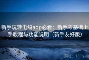 新手玩转电鸽app必看：新手零基础上手教程与功能说明（新手友好版）