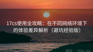17cs使用全攻略：在不同网络环境下的体验差异解析（避坑经验版）