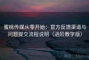 蜜桃传媒从零开始：官方反馈渠道与问题提交流程说明（进阶教学版）