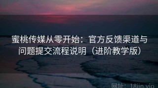 蜜桃传媒从零开始：官方反馈渠道与问题提交流程说明（进阶教学版）