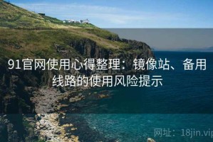 91官网使用心得整理：镜像站、备用线路的使用风险提示