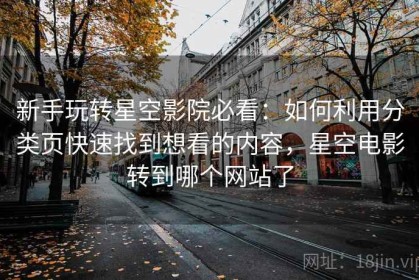 新手玩转星空影院必看：如何利用分类页快速找到想看的内容，星空电影转到哪个网站了