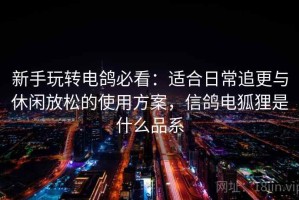 新手玩转电鸽必看：适合日常追更与休闲放松的使用方案，信鸽电狐狸是什么品系