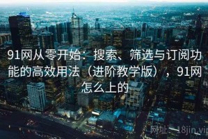 91网从零开始：搜索、筛选与订阅功能的高效用法（进阶教学版），91网怎么上的