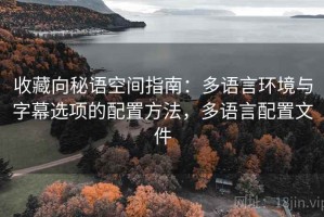收藏向秘语空间指南：多语言环境与字幕选项的配置方法，多语言配置文件