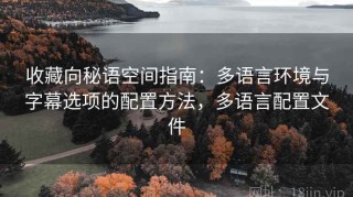 收藏向秘语空间指南：多语言环境与字幕选项的配置方法，多语言配置文件