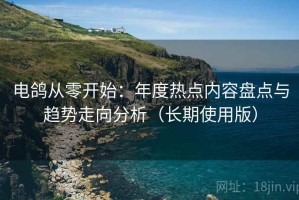 电鸽从零开始：年度热点内容盘点与趋势走向分析（长期使用版）