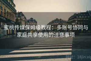 蜜桃传媒保姆级教程：多账号协同与家庭共享使用的注意事项