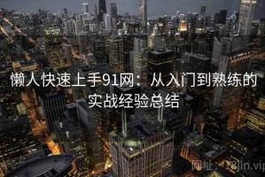 懒人快速上手91网：从入门到熟练的实战经验总结